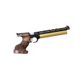 steyr-evo10-e-schwarz.jpg